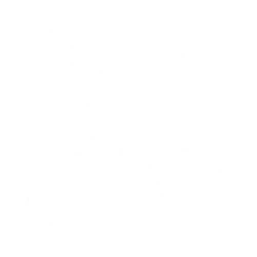 Fixing Logo