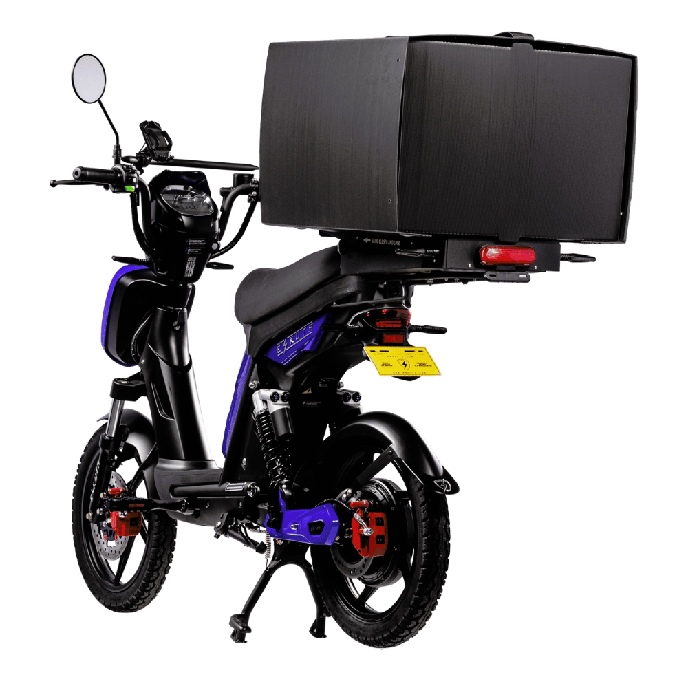 SX-250 Series 4 Cargo Electric Bike