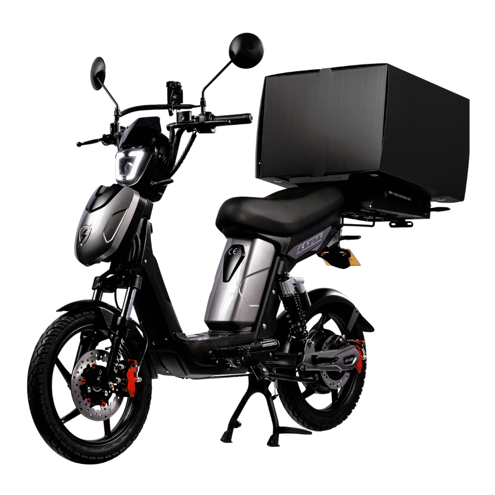 SX-250 Series 4 Cargo Electric Bike