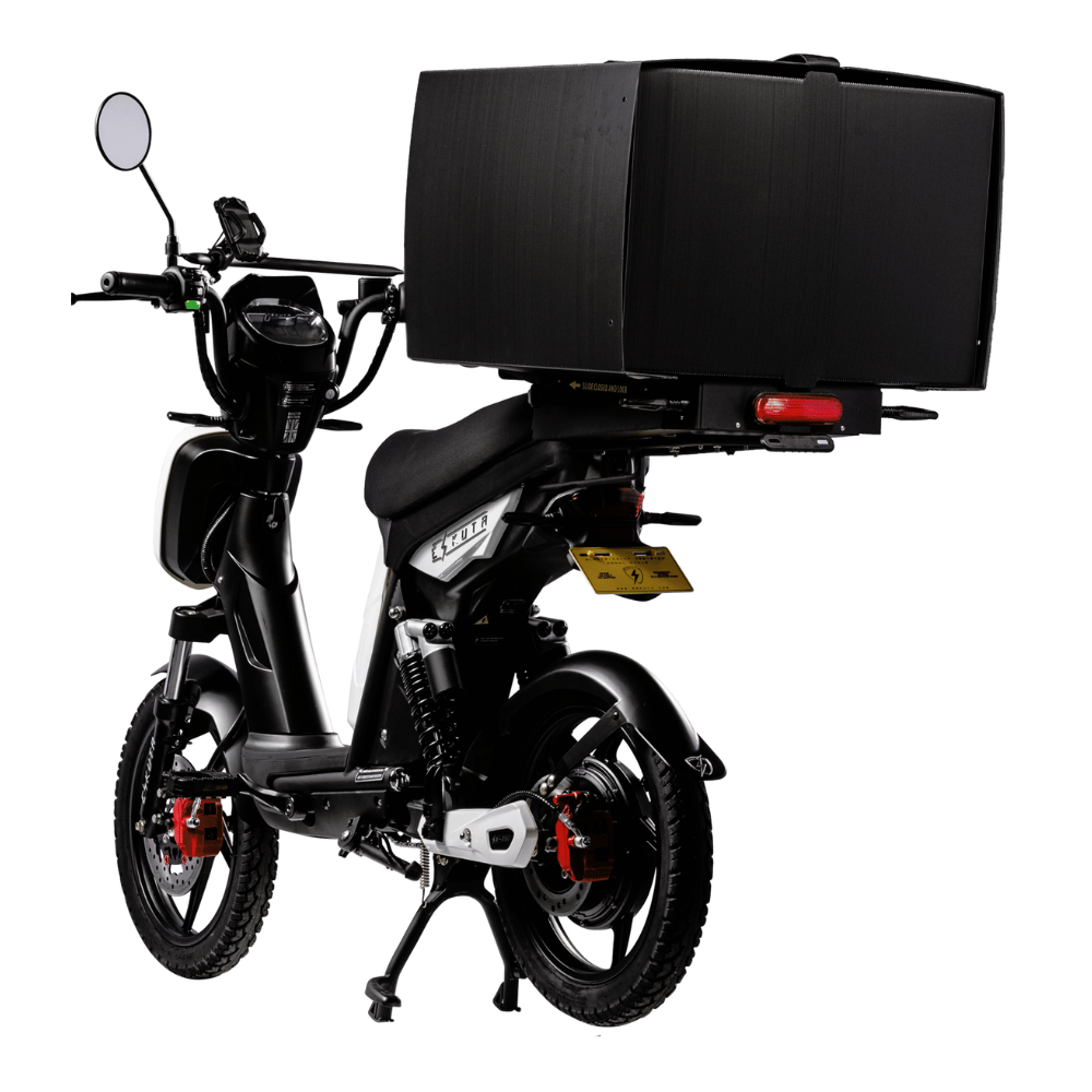 SX-250 Series 4 Cargo Electric Bike