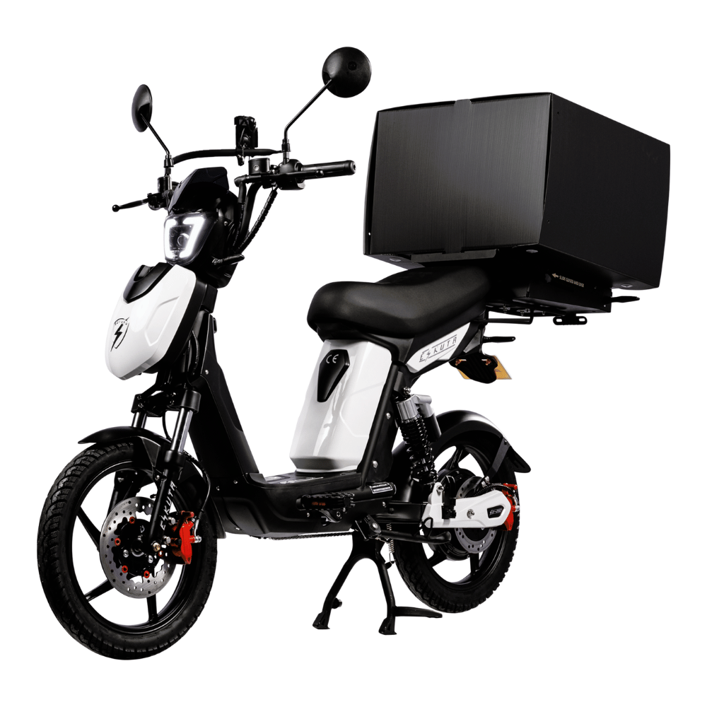 SX-250 Series 4 Cargo Electric Bike