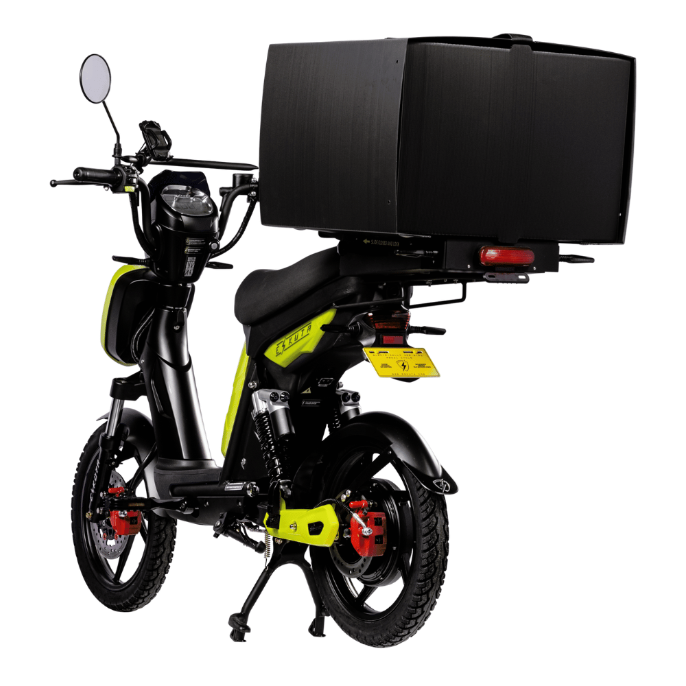 SX-250 Series 4 Cargo Electric Bike