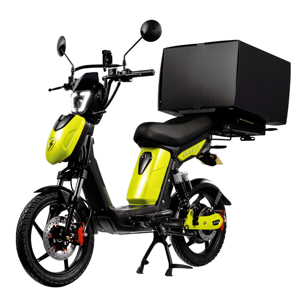 SX-250 Series 4 Cargo Electric Bike