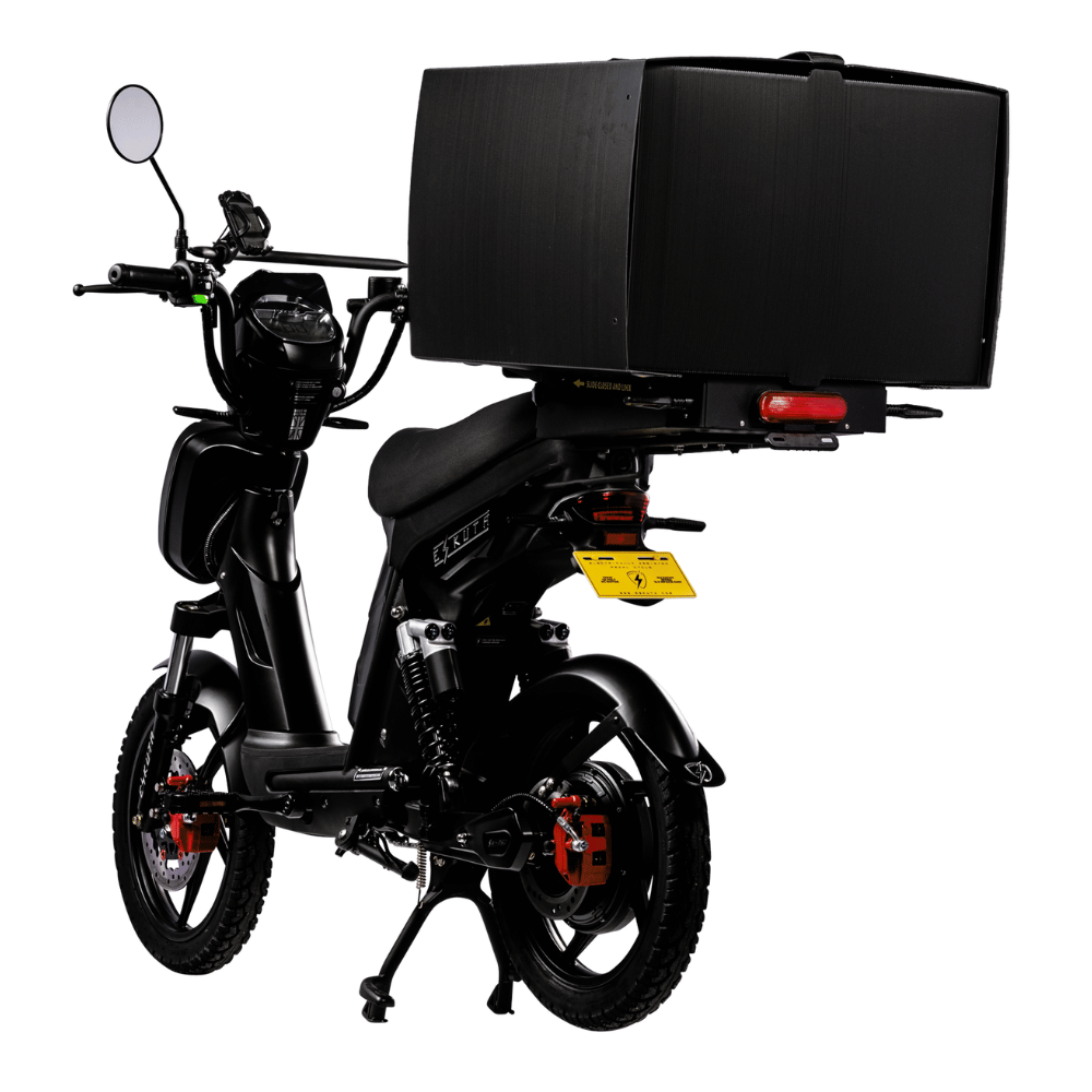 SX-250 Series 4 Cargo Electric Bike