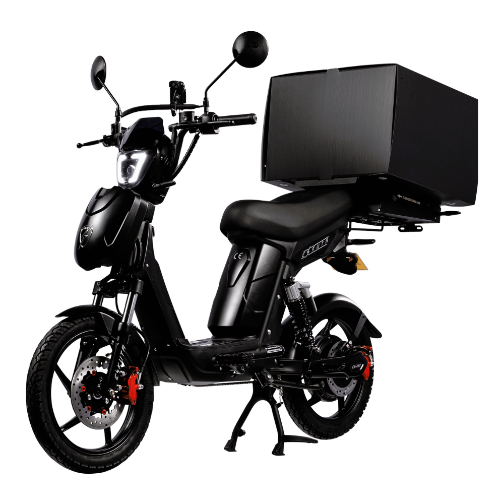 SX-250 Series 4 Cargo Electric Bike