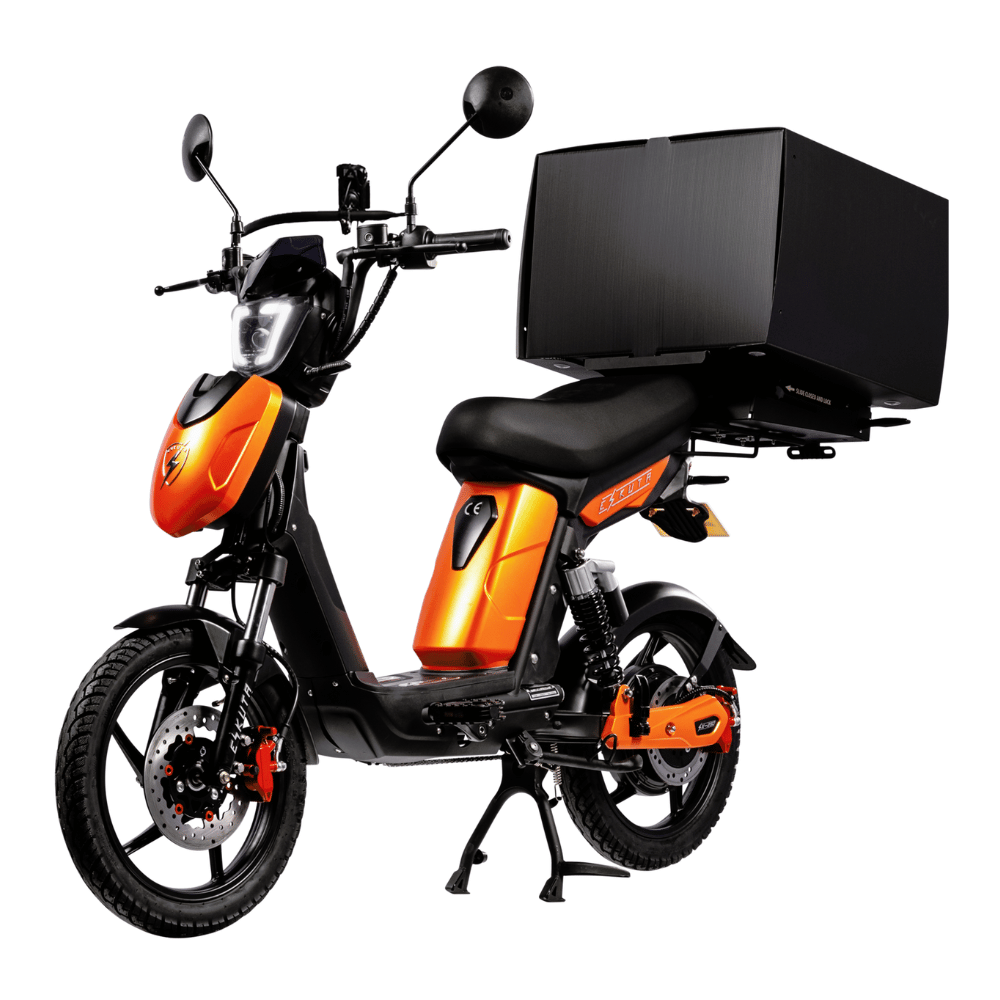 SX-250 Series 4 Cargo Electric Bike