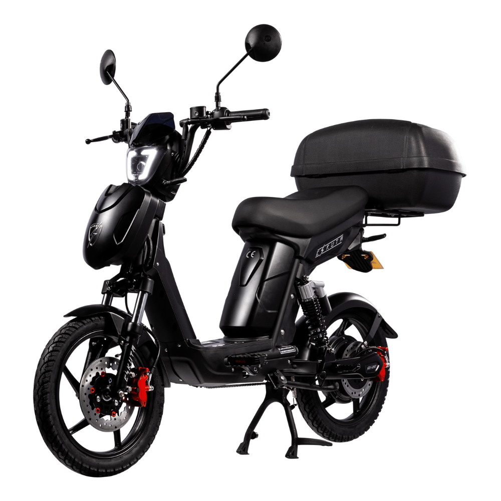 SX-250 Series 4 Voyager Max Electric Bike