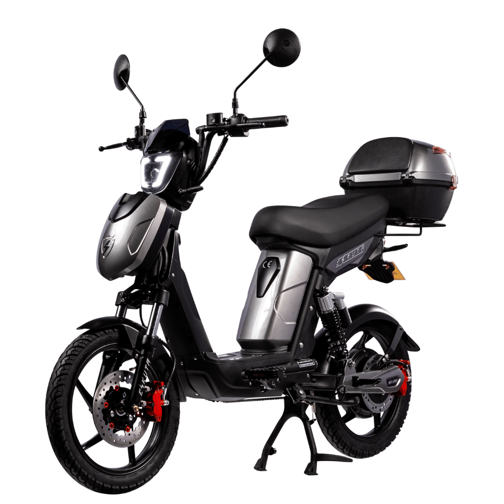 SX-250 Series 4 Voyager Electric Bike