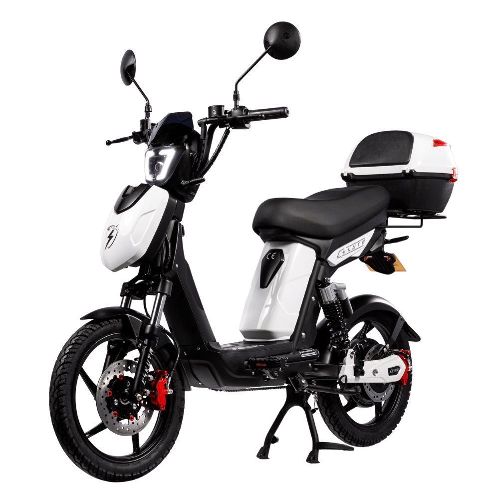 SX-250 Series 4 Voyager Electric Bike