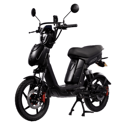 SX-250 Series 4 eBike