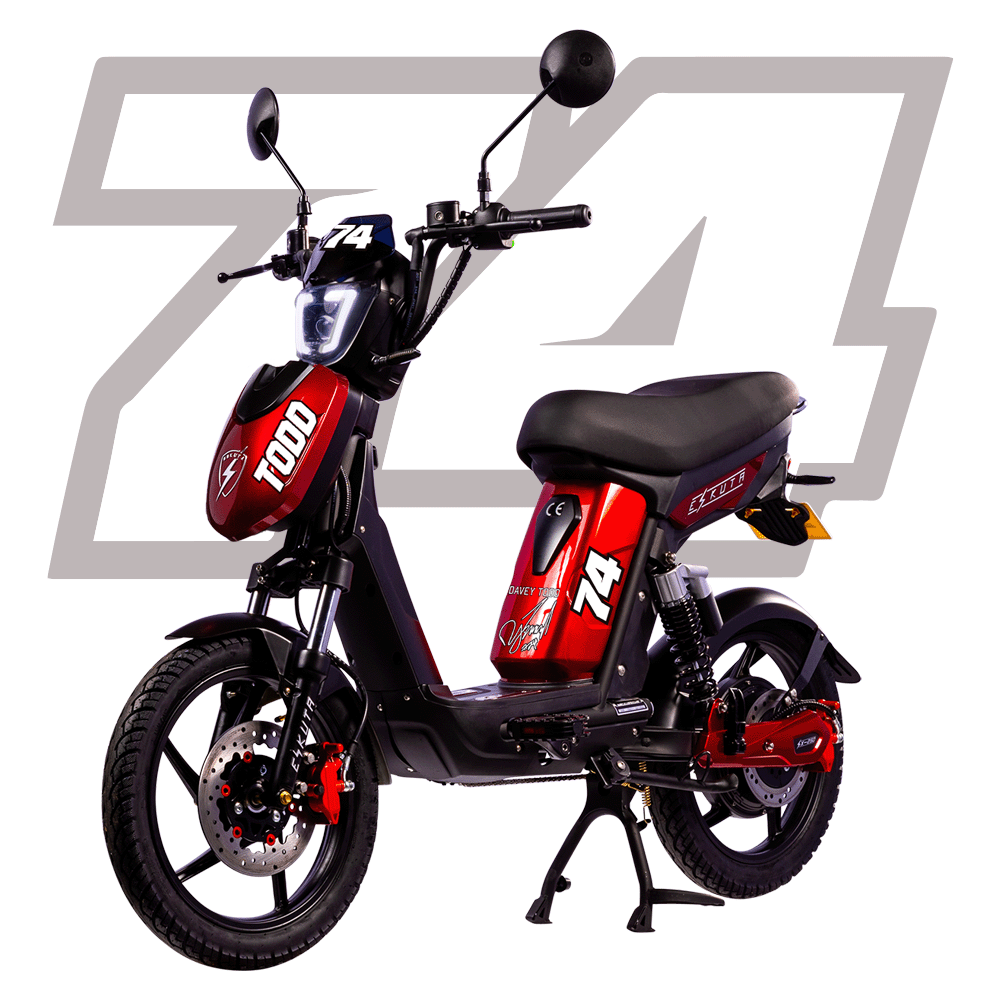 Eskuta Electric Bike SX-250 Series Best EAPC Electric Bike
