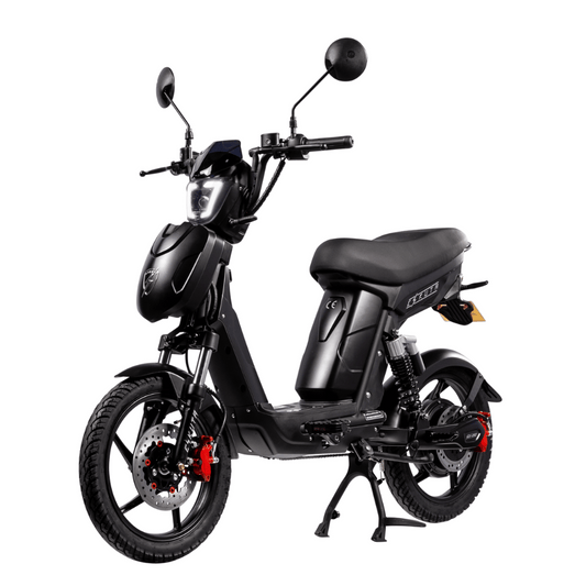 SX-250 Series 4 Classic Electric Bike