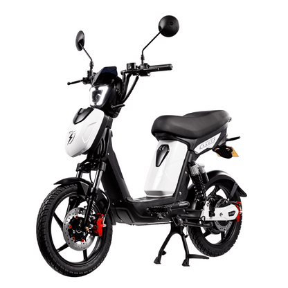 SX-250 Series 4 Classic Electric Bike