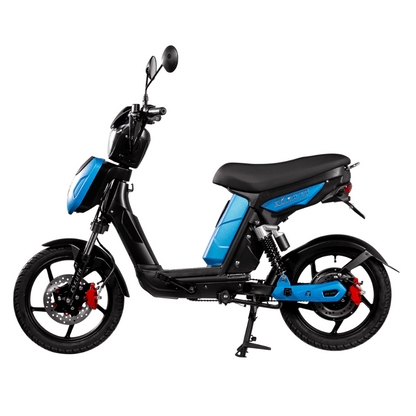 SX-250 Series 4 Classic Electric Bike