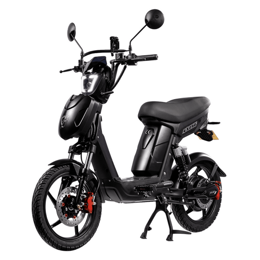 SX-250 Series 4 Explorer Electric Bike