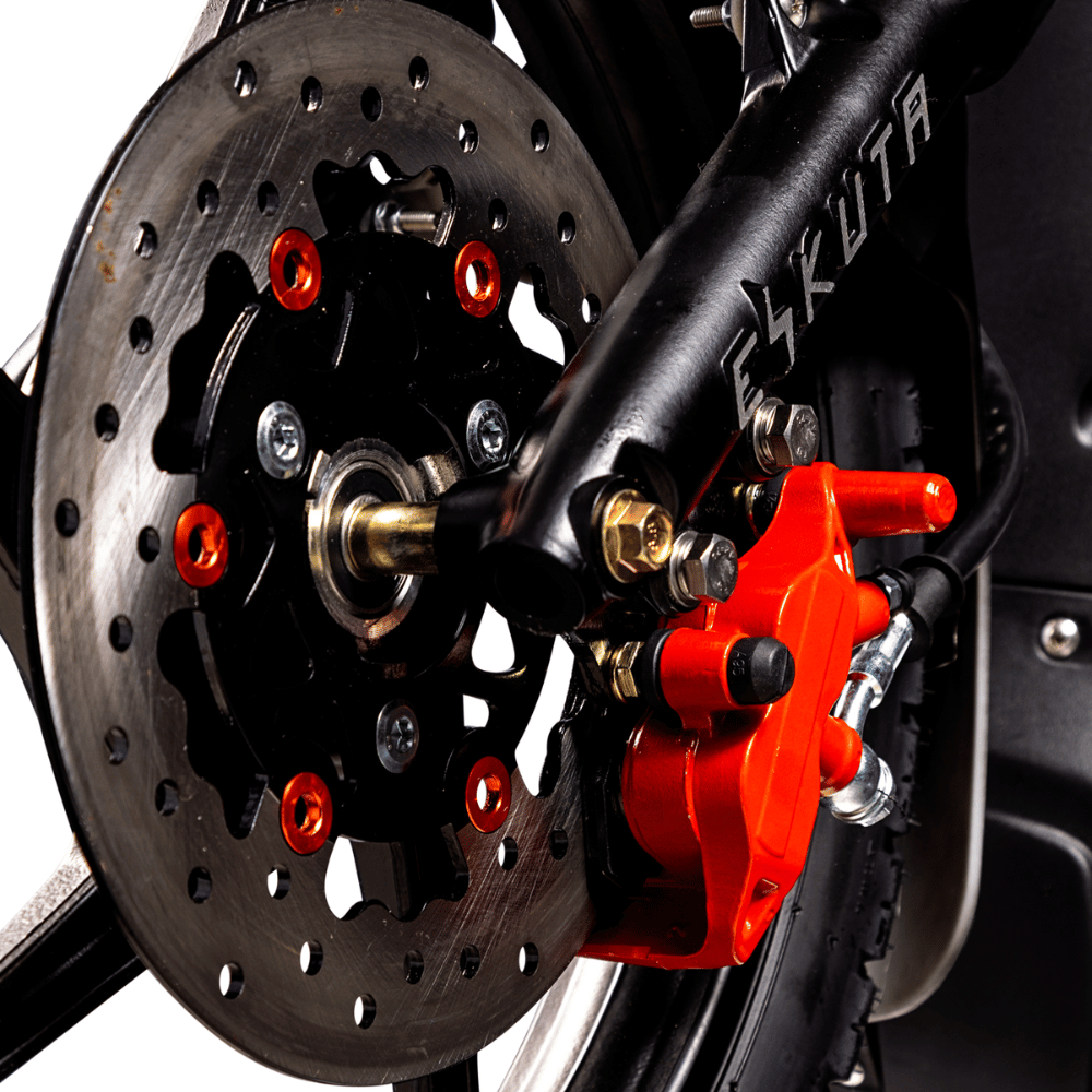Eskuta Disc Brakes Detail