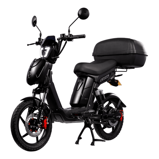 Eskuta Electric Bike SX-250 Series 4