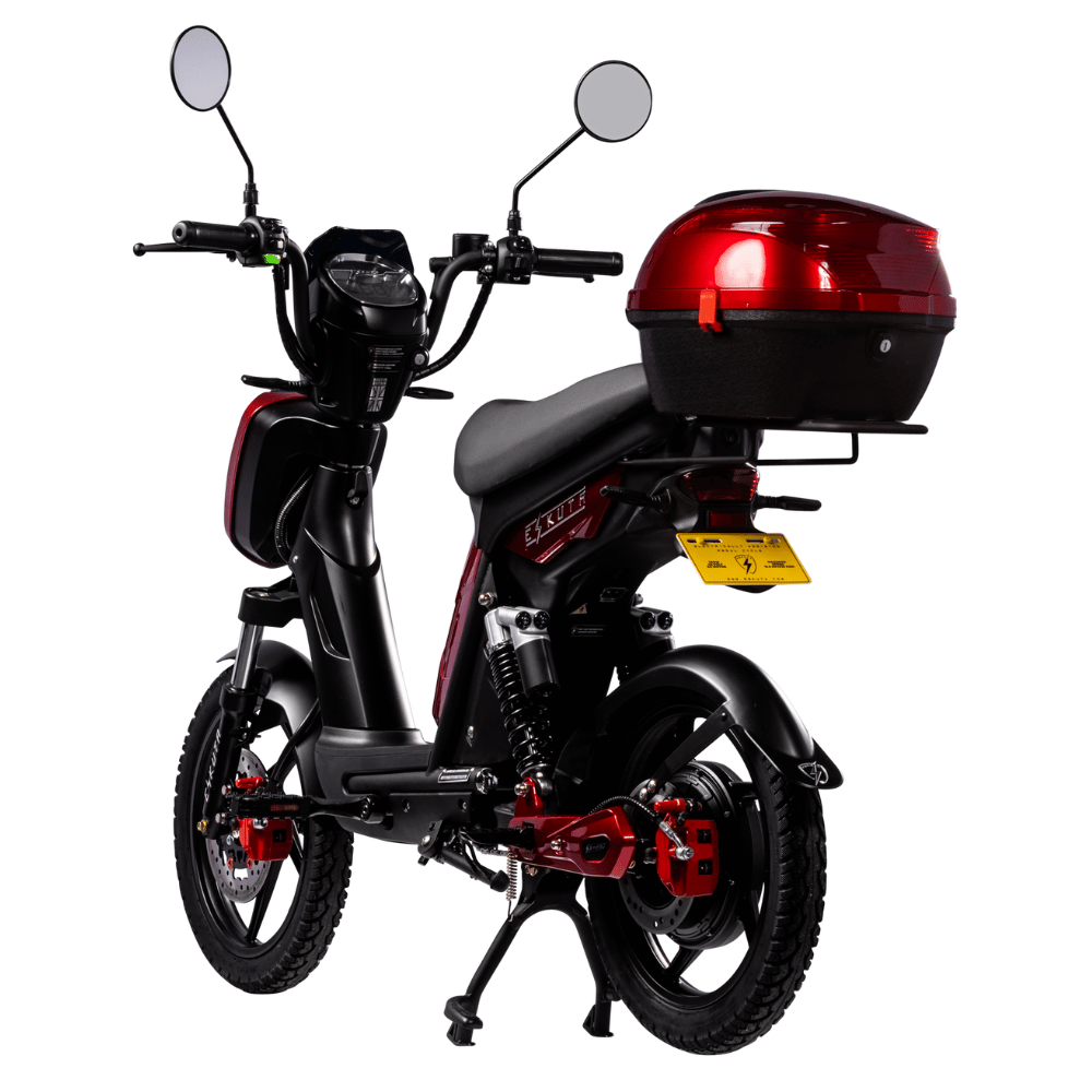 SX-250 Series 4 Voyager Electric Bike