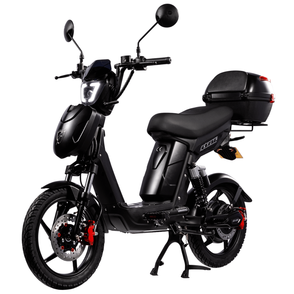 SX-250 Series 4 Voyager Electric Bike