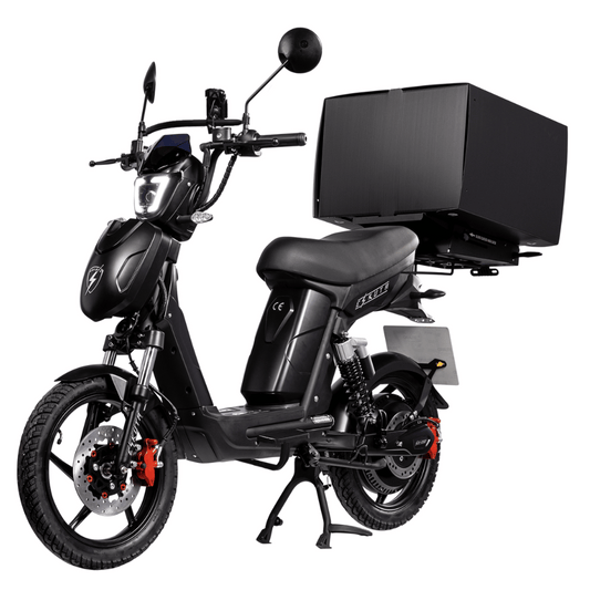 SX-800 Cargo Electric Motorcycle