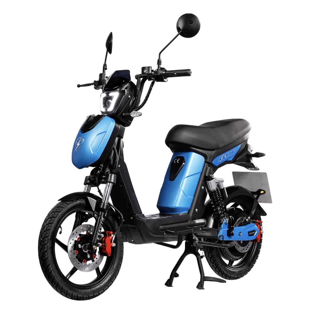 electric moped with pedals Eskuta SX-800 Classic Electric Cargo Motorcycle
