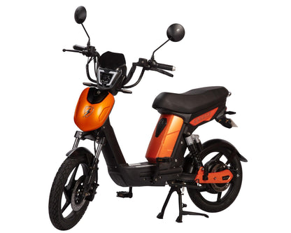 The Fed SX-250  Electric Bike Deposit - Eskuta 