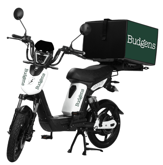 Budgens SX-250d Series 3 Electric Bike + Spare Lithium Ion Battery - Eskuta 